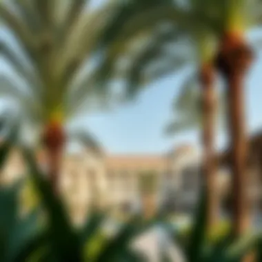 Magnificent Comprehensive Examination of the Raffles Palm: Botanical Insights and Real Estate Potential in Dubai