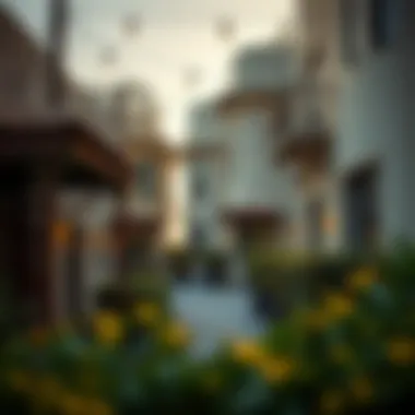 Local Amenities in Rashidiya Rashidiya local amenities