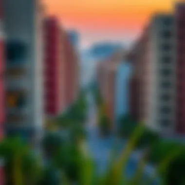 Overview of Rashidiya Neighborhood Rashidiya neighborhood overview