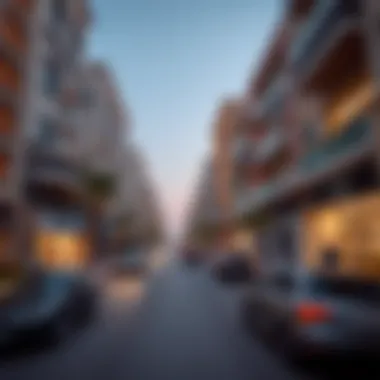 Investment Opportunities in Al Karama Investments in Al Karama's real estate