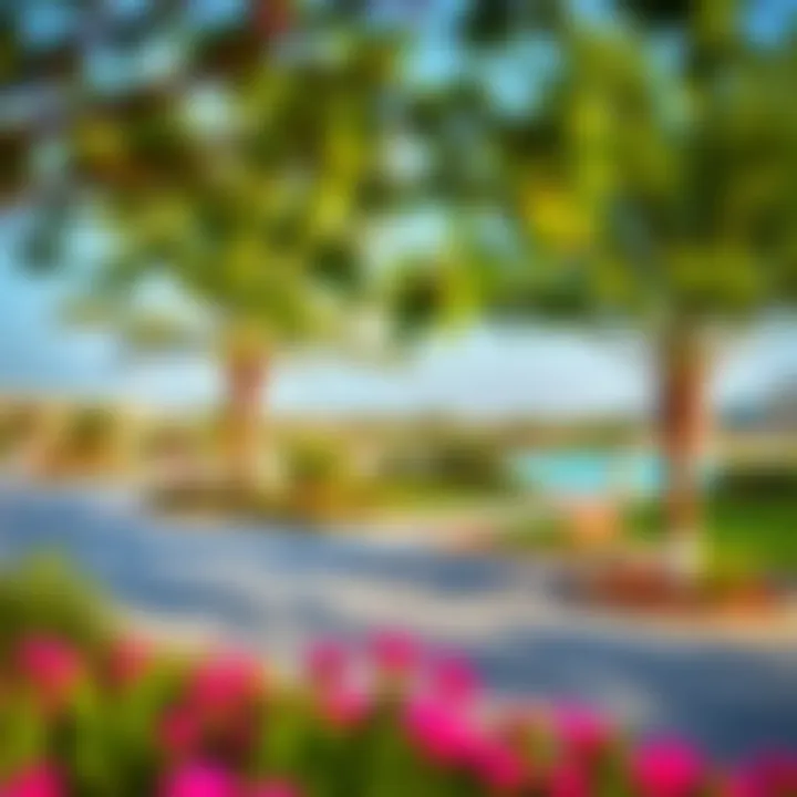 Vibrant community amenities including parks and recreational areas