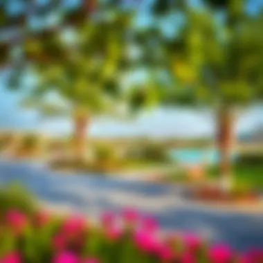 Amenities and Recreational Spaces in Al Khail Vibrant community amenities including parks and recreational areas