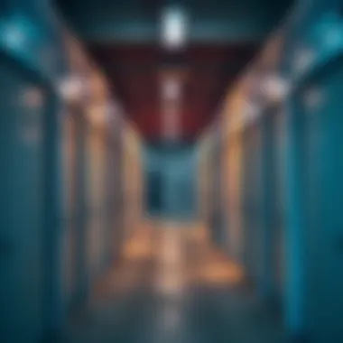 Notable Cold Storage for Rent in Dubai: A Comprehensive Guide Notable Cold Storage for Rent in Dubai: A Comprehensive Guide
