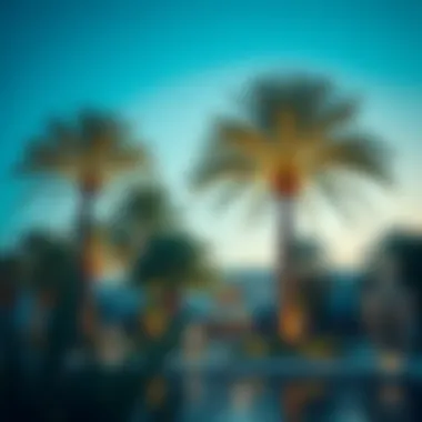 Notable Comprehensive Examination of the Raffles Palm: Botanical Insights and Real Estate Potential in Dubai