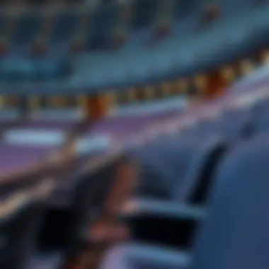 Accessibility features integrated into the Etihad Arena seating plan