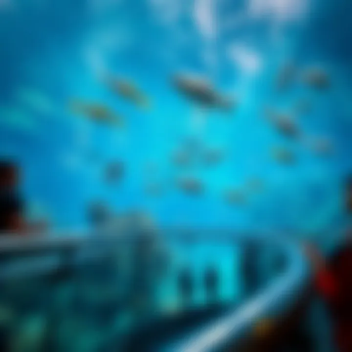 The stunning Dubai Aquarium, a key attraction within the mall