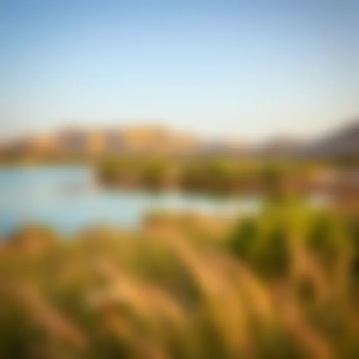 Ecological features of Al Qudra Love Lake, highlighting its significance to local wildlife