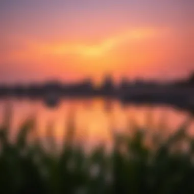 Serene sunset at Al Qudra Love Lake with reflections on the water creating a romantic atmosphere