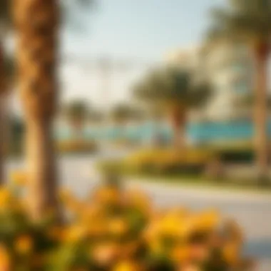 Vibrant community parks in Al Zahra providing recreational space