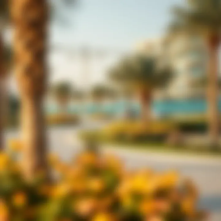Vibrant community parks in Al Zahra providing recreational space
