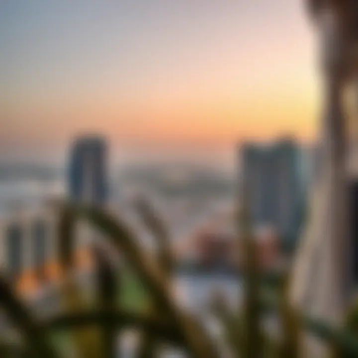 Scenic views from Rashidiya apartments