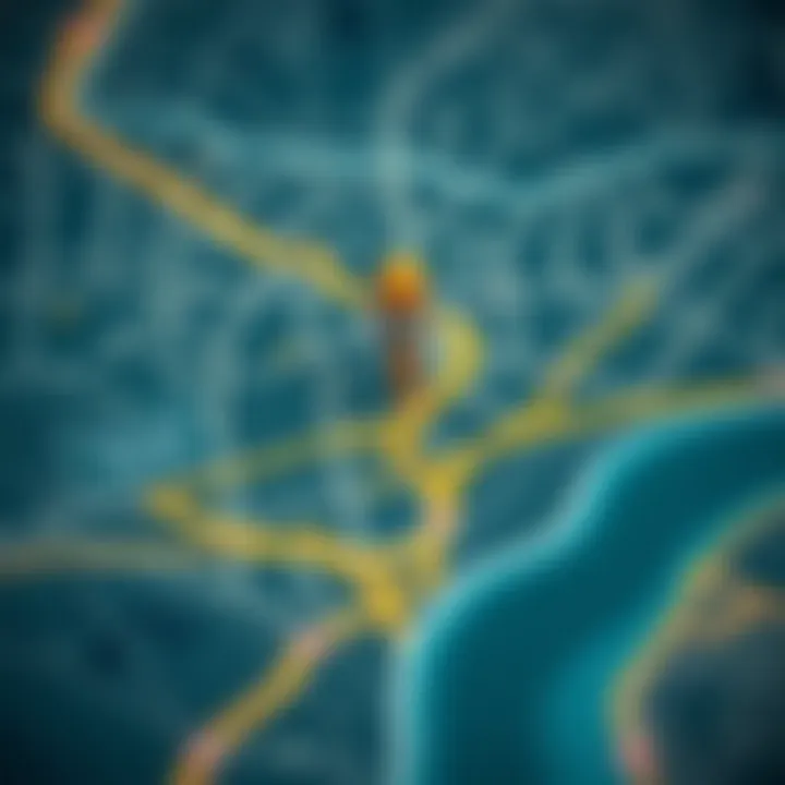 Location Map of Asyad Tower Strategic location map of Asyad Tower in relation to Ajman