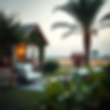 Notable Exploring Farm Houses for Rent in the UAE