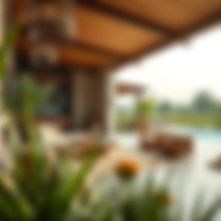 Exploring Farm Houses for Rent in the UAE Summary