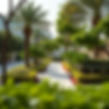 Community Park in Green Land Al Nahda Community park in Green Land Al Nahda with lush greenery