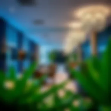 Interior amenities of HDS Business Center