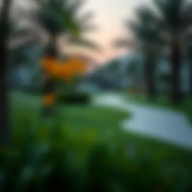 Recreational Parks in Jebel Ali Village Lush green parks in Jebel Ali Village offering recreational spaces