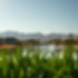 Exploring Khalid Lake: A Gem in Dubai's Real Estate Landscape Introduction