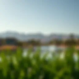 Exploring Khalid Lake: A Gem in Dubai's Real Estate Landscape Introduction