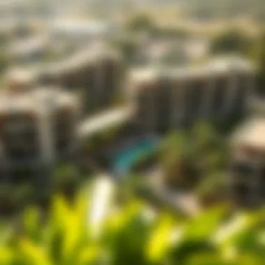 Upscale Developments: Nature Meets Luxury in Dubai Aerial view of an upscale development in Dubai with lush greenery