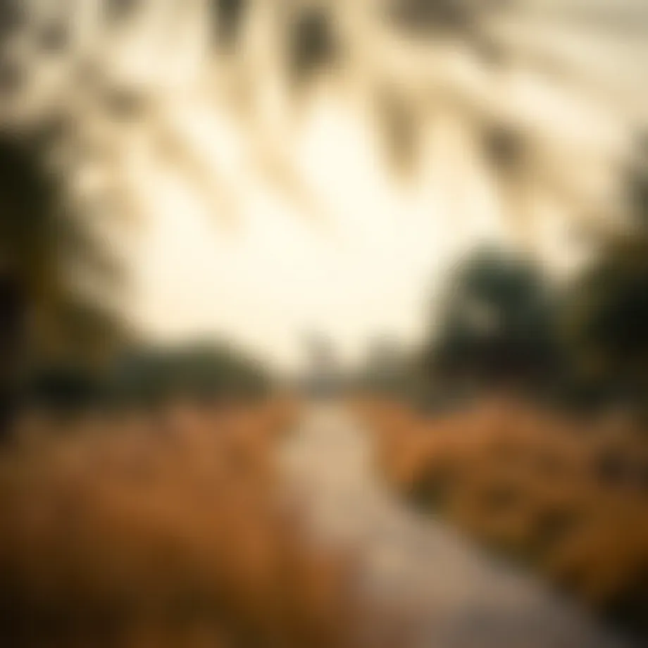 Exploring Nad Al Sheba Forest: A Gem in Dubai's Urban Landscape Introduction