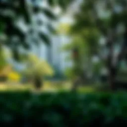 A serene park view within a residential complex showcasing lush greenery and modern architecture