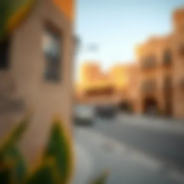 Historical buildings reflecting the rich heritage of Port Saeed