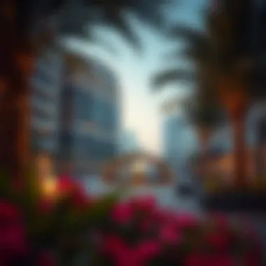 Amenities and recreational facilities available in Rashidiya 3