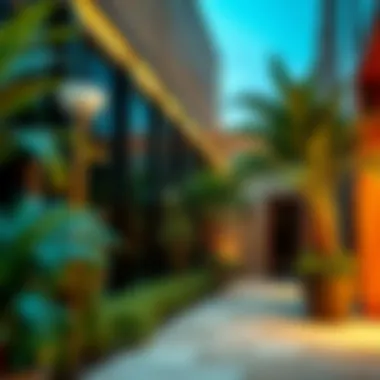 Amenities and Facilities in Al Jaddaf Local amenities and facilities