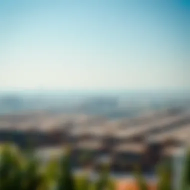 A Scenic View of Al Jaddaf Overview of Al Jaddaf