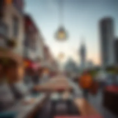 Cultural diversity representation in International City