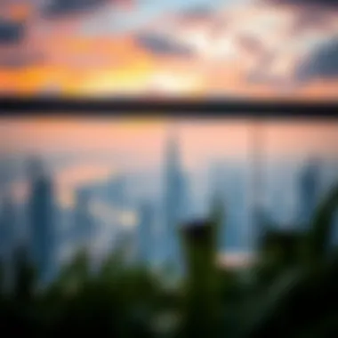 Panoramic view from Shatha Tower's rooftop terrace