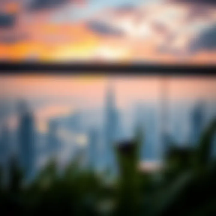 Panoramic view from Shatha Tower's rooftop terrace