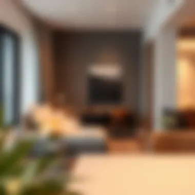 Exploring Studio Apartments in International City Summary Exploring Studio Apartments in International City Summary