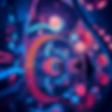 Immersive Digital Art Experience An immersive digital art installation within Aya Universe captivating visitors