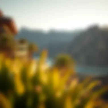 Surrounding Landscapes of Hatta Hotel Breathtaking landscapes surrounding Hatta Hotel highlighting natural beauty