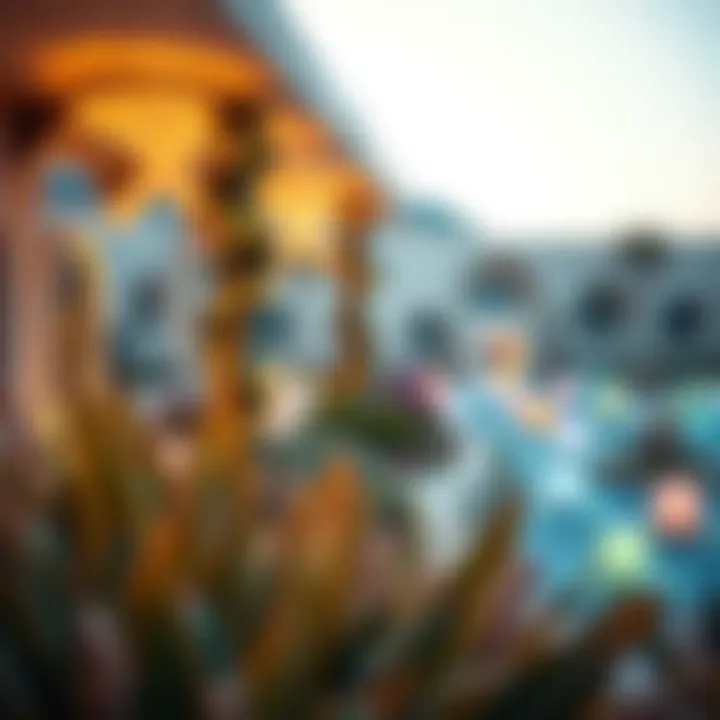 Exploring the Opal Garden: A Comprehensive Insight into Dubai's Unique Landscape Summary