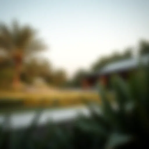 Serene wellness residence with lush greenery