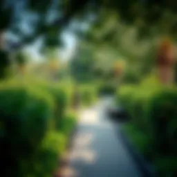 A scenic walkway surrounded by lush greenery in Dubai