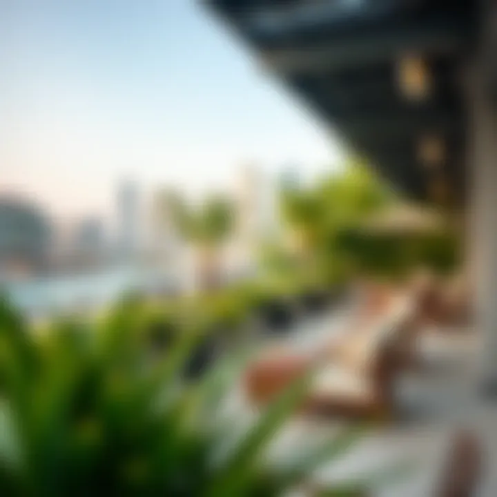 Outdoor Relaxation Areas in International City Tranquil outdoor areas in International City perfect for relaxation