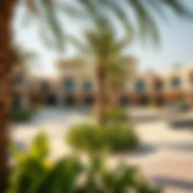 Community Amenities at Jubail Island Community amenities displayed in Jubail Island's vibrant environment