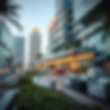 Investment opportunities highlighted in Lulu Silicon Oasis