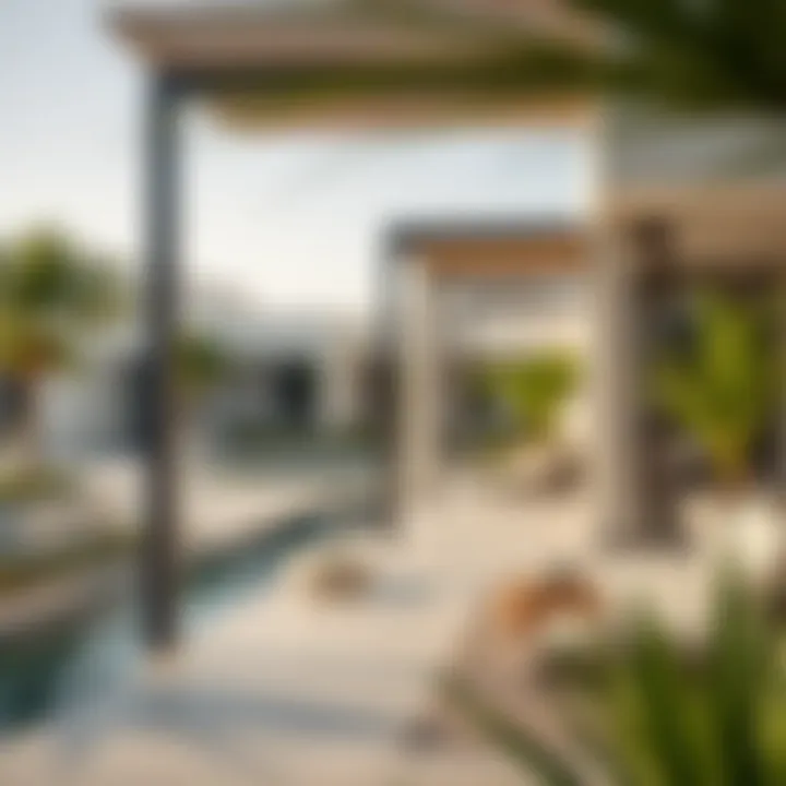 Diverse property options available in Lulu Silicon Oasis