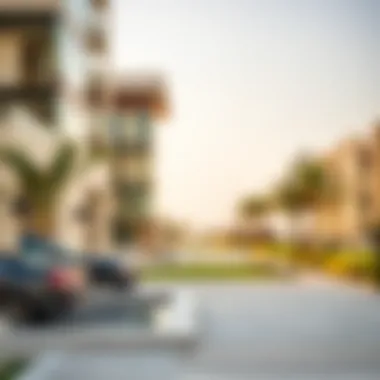 PRAN's Role in UAE Real Estate Transactions Visual representation of PRAN in real estate