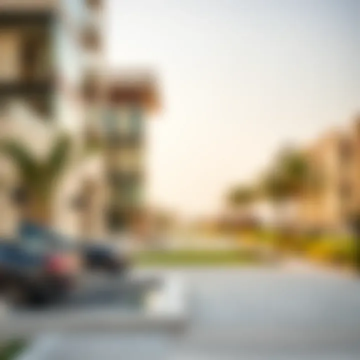 PRAN's Role in UAE Real Estate Transactions Visual representation of PRAN in real estate