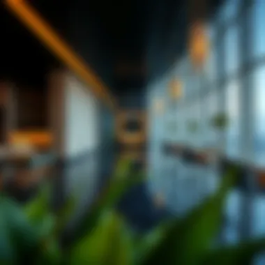 Luxurious amenities within Shaha Tower