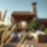 The European Countryside Experience in Dubai Introduction