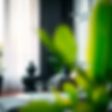 Notable The Intricacies of Apartment Living in Gated Communities