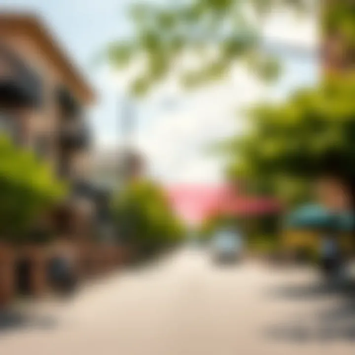 Surrounding Neighborhood Vibrancy Vibrant neighborhood surrounding The Orchard Place