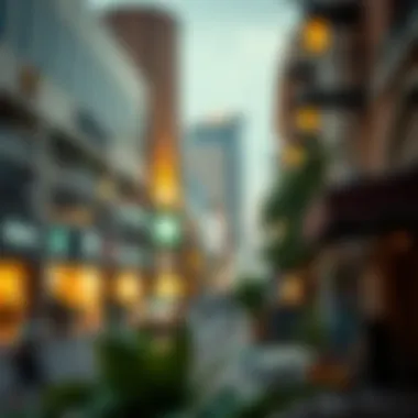 Commercial Hub of Al Jaddaf Vibrant commercial area with shops and cafes in Al Jaddaf